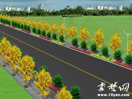 道路两侧绿化