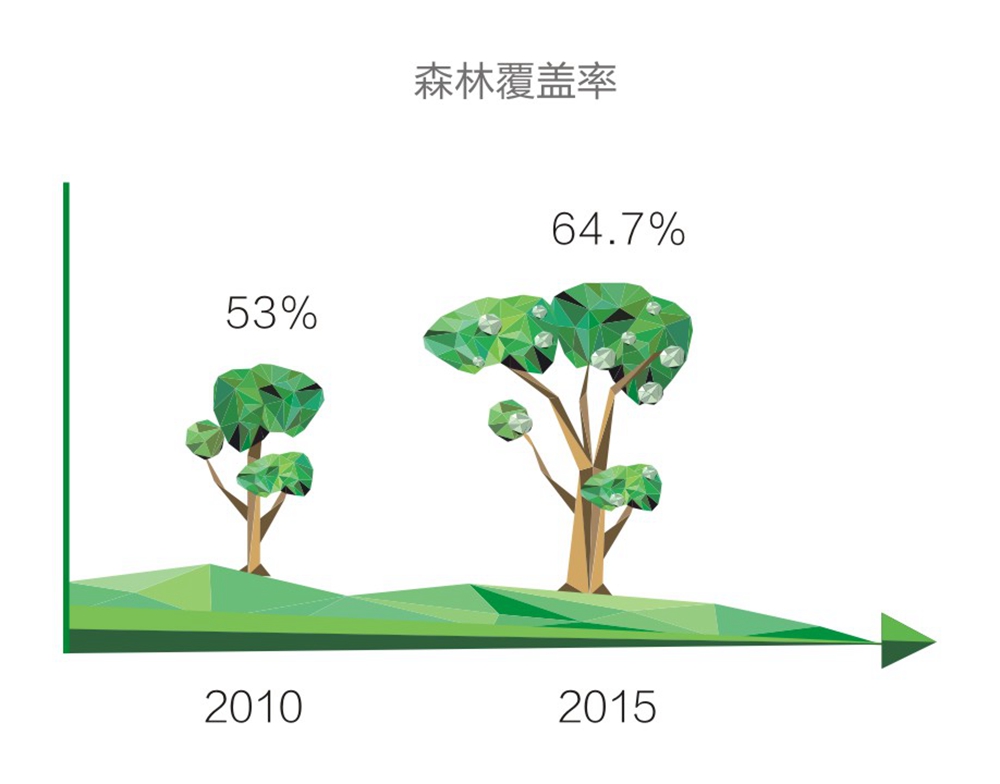 森林覆盖率图表(制图:高敏)