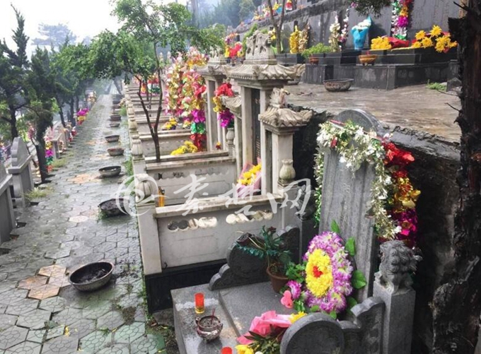 十堰四大公墓鲜花祭祀成新风尚 焚烧火纸香表已是过去时