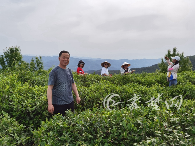 扶贫故事丨竹山县圣水村师利波:村民脱贫致富的带头人