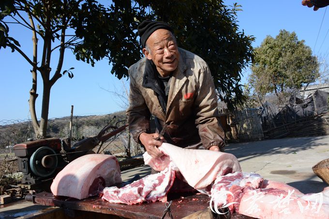 十堰手艺人|杀猪匠老潘:最忙的时候一天杀14头猪