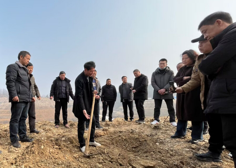 丹江口牛河林区：召开全市油橄榄基地建设整地施肥现场会