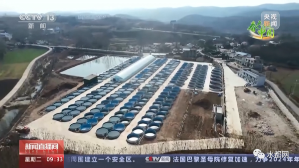 央視再次聚焦丹江口！關注這件事……