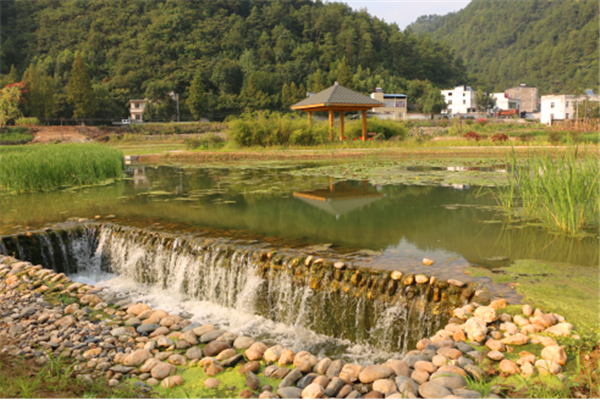 生态透水坝图片