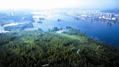 丹江口滄浪洲溼地公園