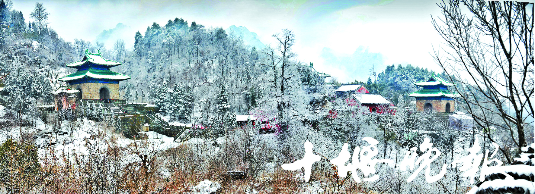 武当山王泰科怎么挂号(武当山道医王泰科祝华英)