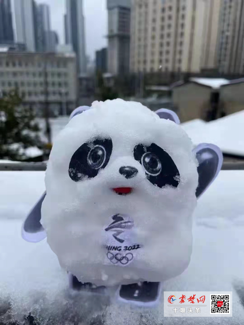 抖雪的冰墩墩图片图片